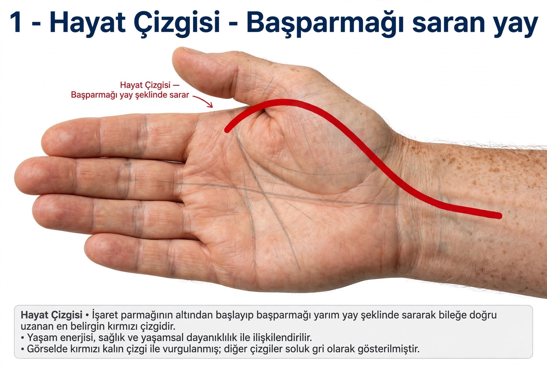 El çizgisi