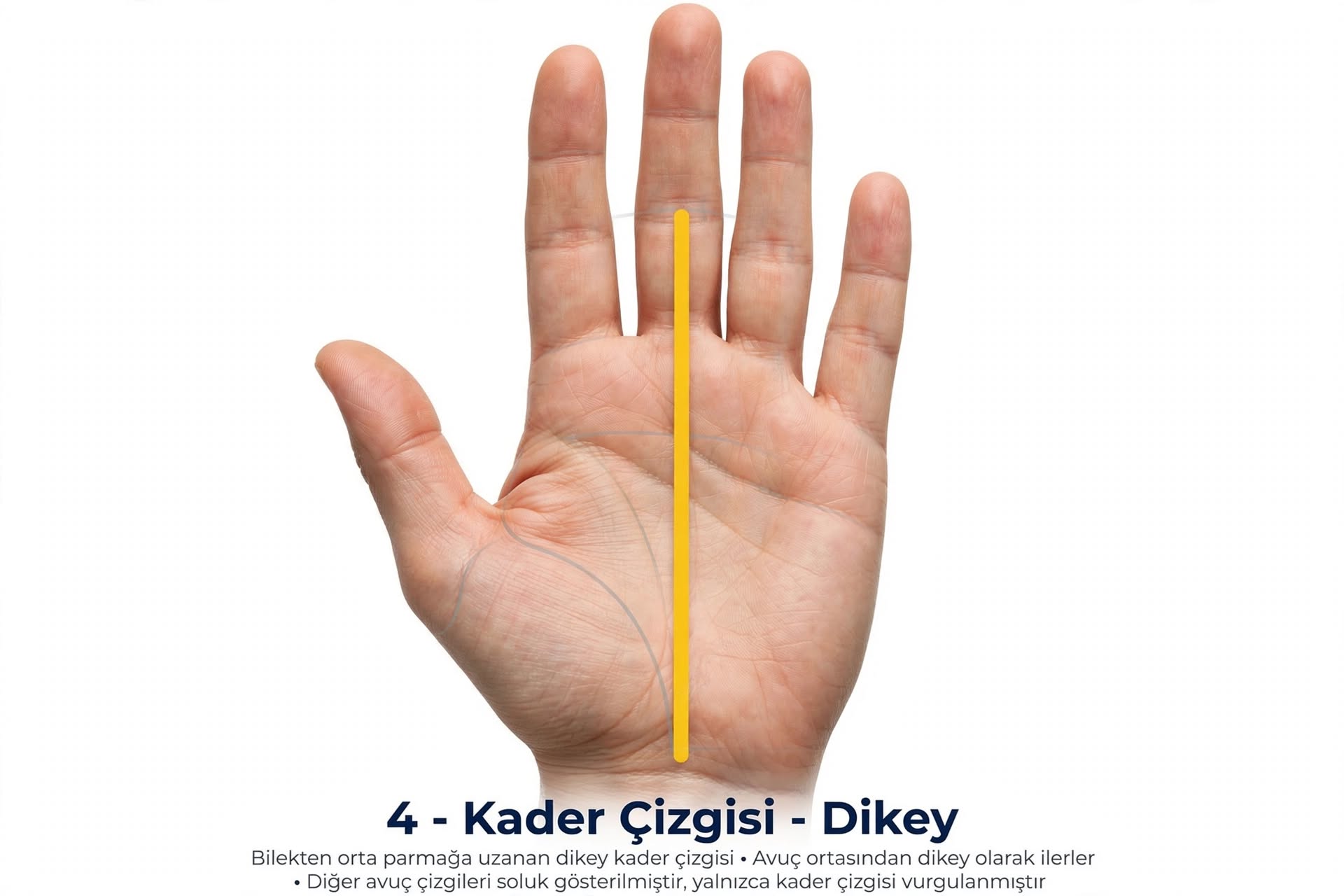El çizgisi